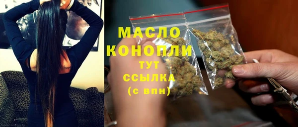 хмурый Инта