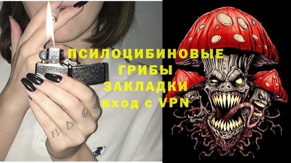 хмурый Инта