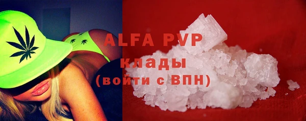 хмурый Инта