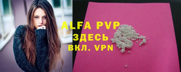 хмурый Инта