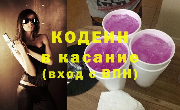 хмурый Инта