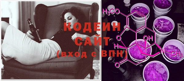 хмурый Инта