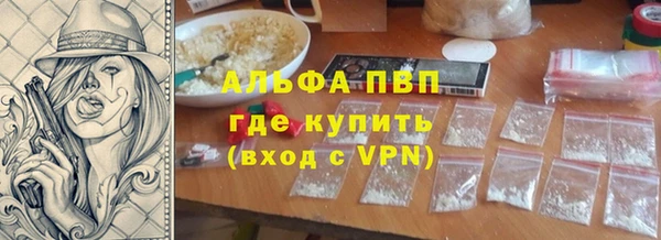 хмурый Инта
