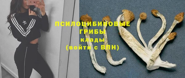 гашишное масло Инсар