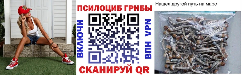 Псилоцибиновые грибы мухоморы  где купить   Долгопрудный 